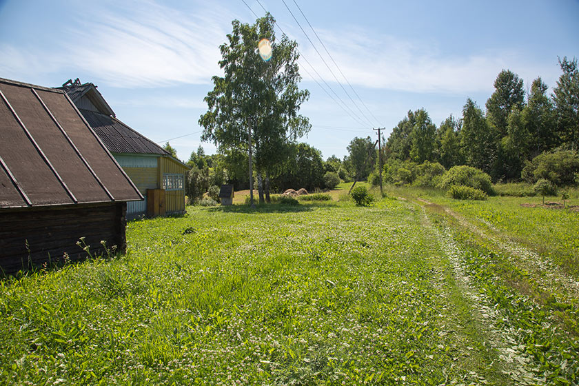 Деревня Урюпино, 2015 г.